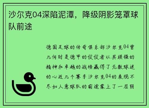 沙尔克04深陷泥潭，降级阴影笼罩球队前途