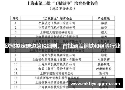 欧盟拟定碳边境税细则，首批涵盖钢铁和铝等行业